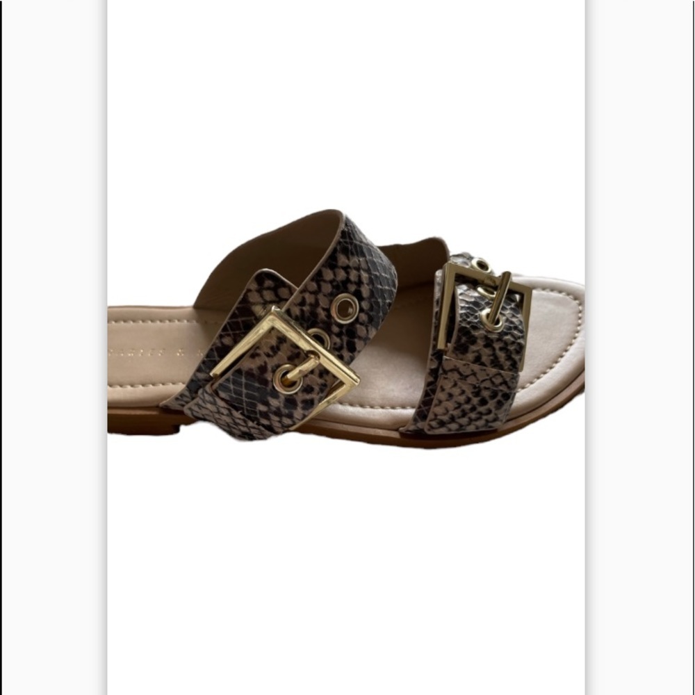 NIB Charles & Keith Snakeskin Buckle Slides Size 5.5 - Picture 4 of 8